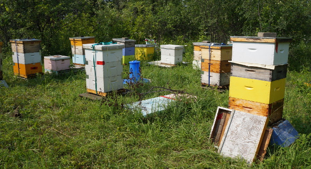 2 apiculteurs font partie de la ferme 